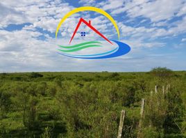  Land for sale in Uruguay Entre Rios, Uruguay