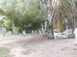  Land for rent in Medellin, Veracruz, Medellin