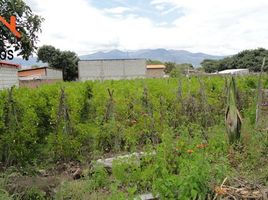  Land for sale in San Jose De Chaltura, Antonio Ante, San Jose De Chaltura