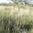  Land for sale in Chamical, La Rioja, Chamical