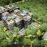 2 Bedroom Condo for sale in Cozumel, Quintana Roo, Cozumel, Quintana Roo