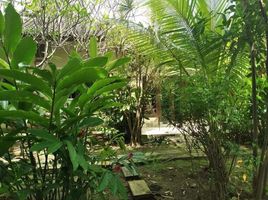  Grundstück zu verkaufen in Canggu, Bali, Canggu