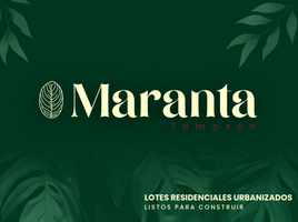  Terreno (Parcela) en venta en Temozon, Yucatán, Temozon