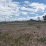  Terreno (Parcela) en venta en Huimilpan, Querétaro, Huimilpan