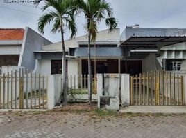 3 Schlafzimmer Haus zu verkaufen in Sukolilo, East Jawa, Sukolilo