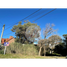  Grundstück zu verkaufen in Pinamar, Buenos Aires, Pinamar