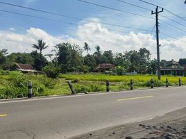  Land for sale in Yogyakarta, Kalasan, Sleman, Yogyakarta