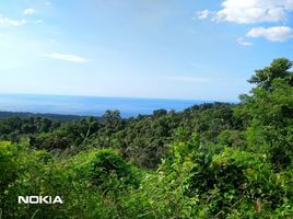  Land for sale in Buleleng, Bali, Seririt, Buleleng