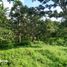  Land for sale in Buleleng, Bali, Seririt, Buleleng