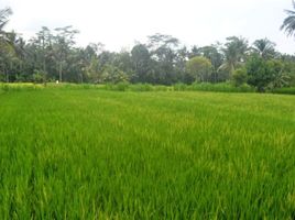  Tanah for sale in Tampak Siring, Gianyar, Tampak Siring