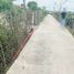  Land for sale in Hiep Thanh, Long An, Hiep Thanh, Chau Thanh