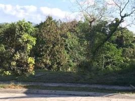  Land for sale in Cavite, Calabarzon, Silang, Cavite