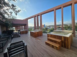 2 Schlafzimmer Appartement zu vermieten in San Luis Potosi, San Luis Potosi, San Luis Potosi, San Luis Potosi