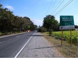  Terrain for sale in La Union, Ilocos, Balaoan, La Union