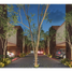 2 Bedroom Apartment for sale in Temozon, Yucatan, Temozon