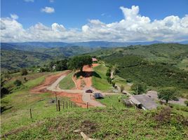  Terreno (Parcela) en venta en Caldas, Palestina, Caldas