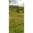  Grundstück zu verkaufen in Santa Rosa De Cabal, Risaralda, Santa Rosa De Cabal