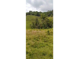 Grundstück zu verkaufen in Santa Rosa De Cabal, Risaralda, Santa Rosa De Cabal