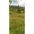  Grundstück zu verkaufen in Santa Rosa De Cabal, Risaralda, Santa Rosa De Cabal