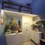 2 Bedroom House for rent in Soko, East Jawa, Soko, Tuban