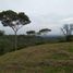  Land for sale in Cali, Valle Del Cauca, Cali