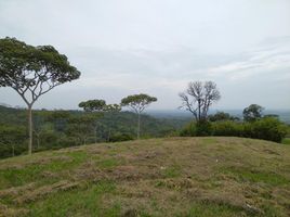  Land for sale in Cali, Valle Del Cauca, Cali