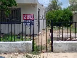 Condominium 1 chambre à vendre à Merida, Yucatan, Merida, Yucatan