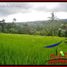  Land for sale in Penebel, Tabanan, Penebel