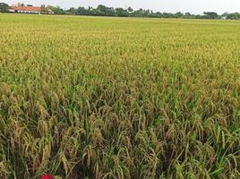  Tanah for sale in Cibitung, Bekasi, Cibitung