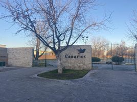  Terreno (Parcela) en venta en Torreon, Coahuila, Torreon