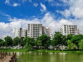 2 Schlafzimmer Wohnung zu verkaufen im Celadon City, Son Ky