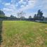  Land for sale in Rionegro, Antioquia, Rionegro, Antioquia, Colombia