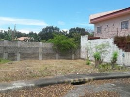  Terreno (Parcela) en venta en Lapu-Lapu City, Central Visayas, Lapu-Lapu City, Cebu