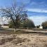  Terreno (Parcela) en venta en Torreon, Coahuila, Torreon