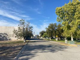  Terreno (Parcela) en venta en Torreon, Coahuila, Torreon