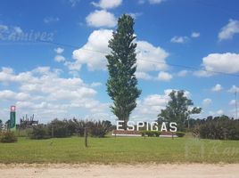  Land for sale in Olavarria, Buenos Aires, Olavarria