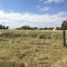  Land for sale in Olavarria, Buenos Aires, Olavarria