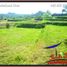  Terrain for sale in Tegallalang Rice Terrace, Tegallalang, Tegallalang