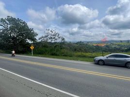  Land for sale in Totoro, Cauca, Totoro