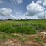  Land for sale in Totoro, Cauca, Totoro