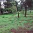  Land for sale in San Martin Hidalgo, Jalisco, San Martin Hidalgo