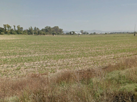  Terreno (Parcela) en venta en Salamanca, Guanajuato, Salamanca