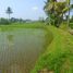  Land for sale in Ubud, Gianyar, Ubud