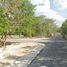 在Mococha, Yucatan出售的 土地, Mococha