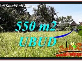  Land for sale in Ubud, Gianyar, Ubud