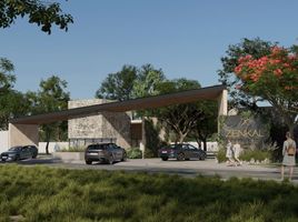  Terreno (Parcela) en venta en Yaxkukul, Yucatán, Yaxkukul, Yucatán