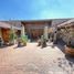 3 Schlafzimmer Appartement zu verkaufen in Isidro Fabela, Mexico, Isidro Fabela