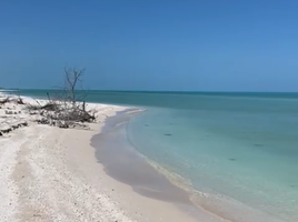  Land for sale in Celestun, Yucatan, Celestun