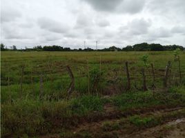  Terrain for sale in Veraguas, La Raya De Santa Maria, Santiago, Veraguas