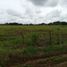  Land for sale in La Raya De Santa Maria, Veraguas, La Raya De Santa Maria, Santiago